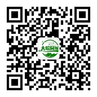 加入我们