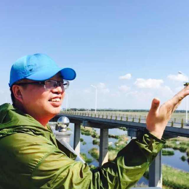 迟凤阁